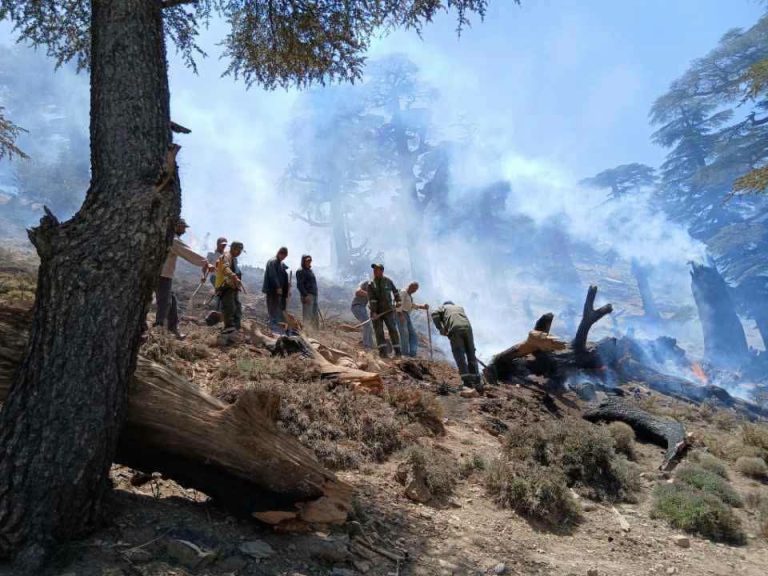 Après 24 heures d'efforts continus, le feu de la forêt de Tounfite dans la province de Midelt est maîtrisé