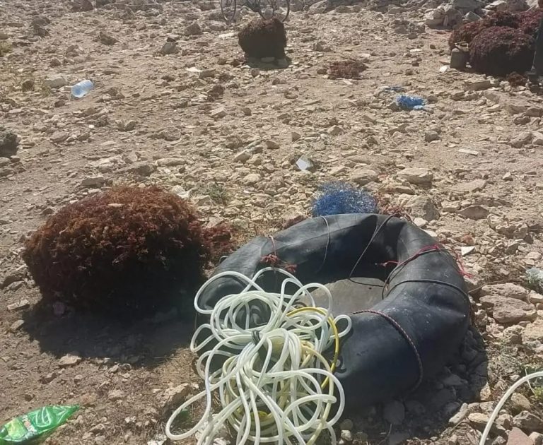 El Jadida : saisie d'une quantité d'algues rouges à Sidi Bouzid
