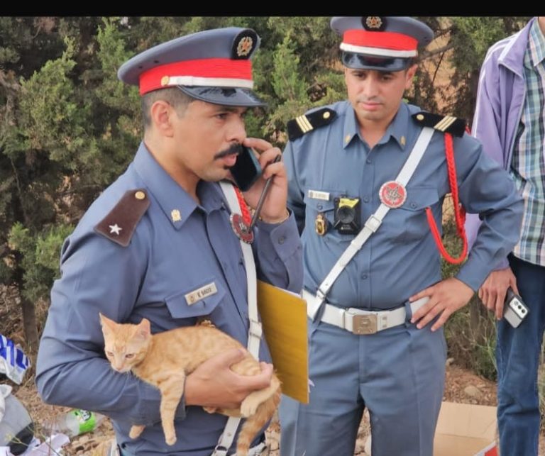 Après le renversement d'une voiture entre Driouch et Nador, un acte humain d'un gendarme suscite l'admiration