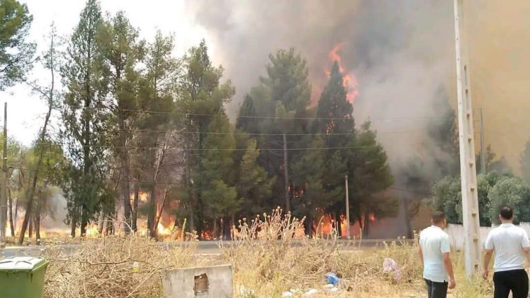 Sefrou : Incendie maîtrisé dans la forêt de Kchala à Ribate El Kheir après une intervention de terrain intensive