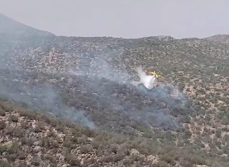 Azilal.. Poursuite des efforts aériens et terrestres pour maîtriser l'incendie de la forêt d'Anfk à Afourar
