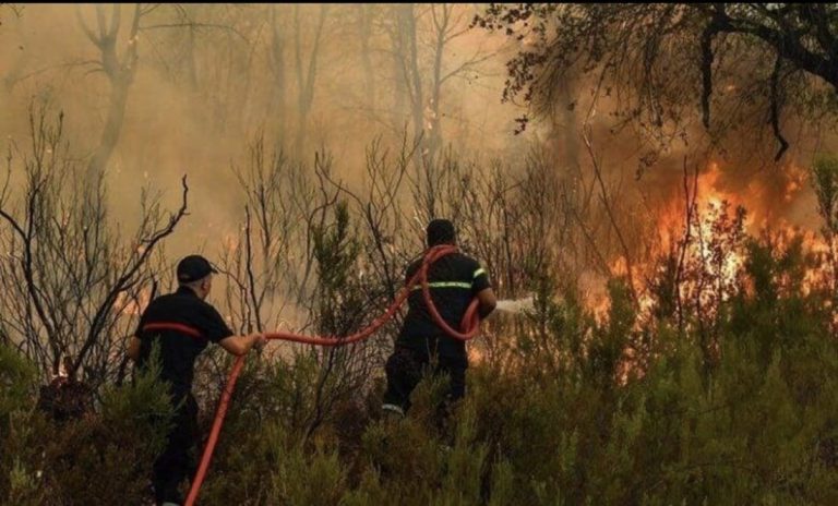 Tissouane.. Un immense incendie de forêt dévore des espaces verts à "Imirgen"