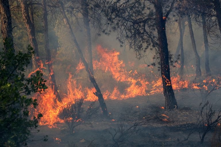 Décès et lourdes pertes matérielles.. Des incendies ravagent des wilayas en Algérie