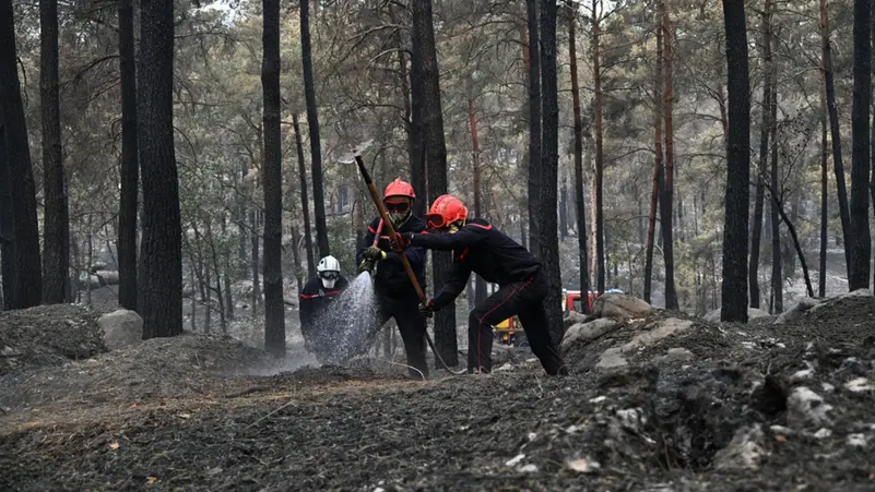 Incendie majeur forçant des habitants de communes françaises à évacuer près de la côte méditerranéenne