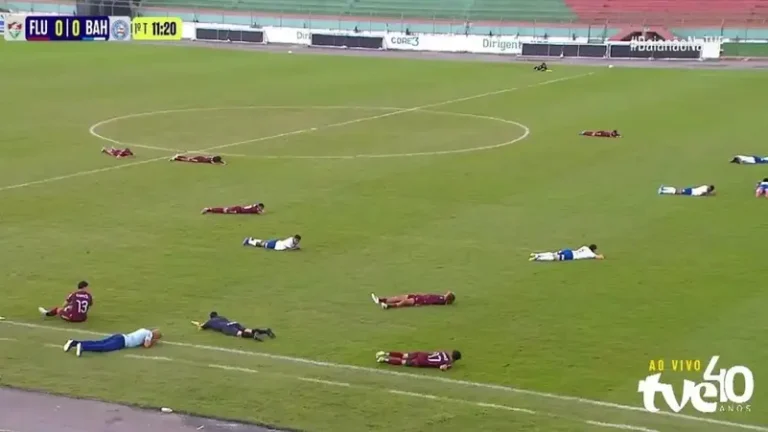 Un essaim d'abeilles interrompt un match au Brésil et contraint les joueurs à se jeter au sol