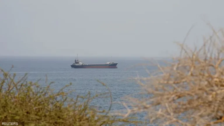 40 navire-citerne en une nuit.. 16 millions de barils traversent le détroit d'Ormuz