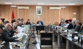 Mohamed Berrada participe à la réunion de la Commission permanente chargée du renouvellement et de l’adaptation des curricula et des programmes