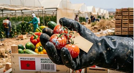 Fruits et légumes : le Top 5 des produits marocains dont la consommation explose en Europe