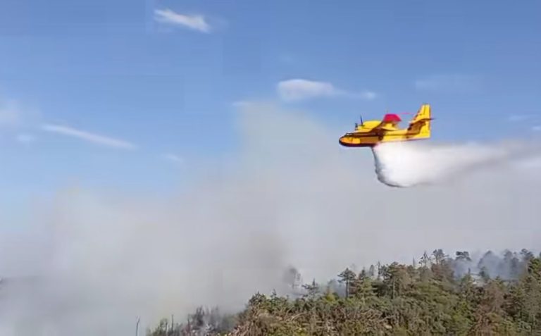 Un incendie de forêt à Laânacir à Sefrou entre dans son troisième jour.. Des avions "Canadair" interviennent pour soutenir les efforts d'extinction