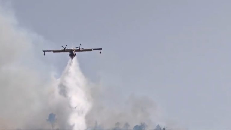 Incendie à Dayat Ifri à Sefrou.. Mobilisation générale pour mettre fin au cauchemar des flammes