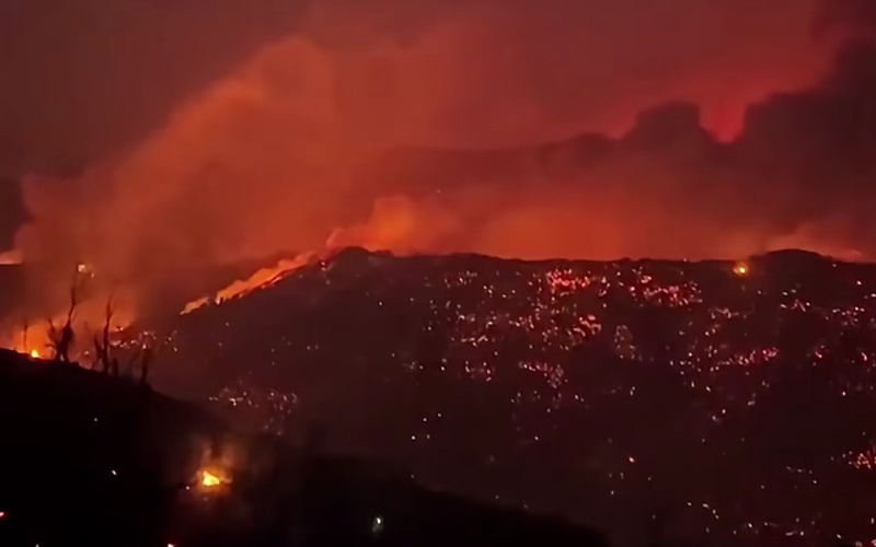 Conflit syro-algérien pour un chien argentin qui a contribué à éteindre des incendies – Photo