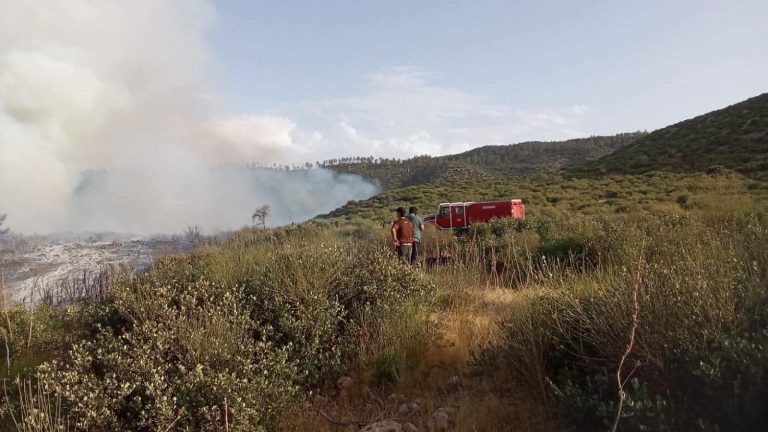 Pour le deuxième jour consécutif, une mobilisation sur le terrain continue pour contenir l'incendie de Timoulilt et Afourar dans la province d'Azilal