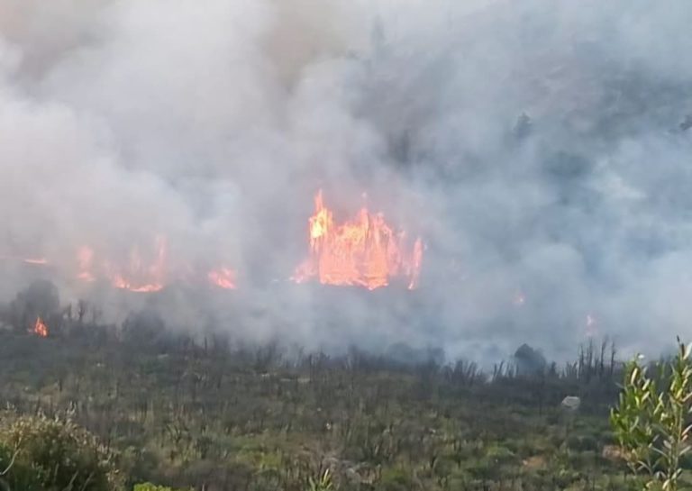 Un incendie de forêt à Laânouaser à Sefrou entre dans sa deuxième journée.. des efforts continus pour contenir les flammes près de Dayat Ifer