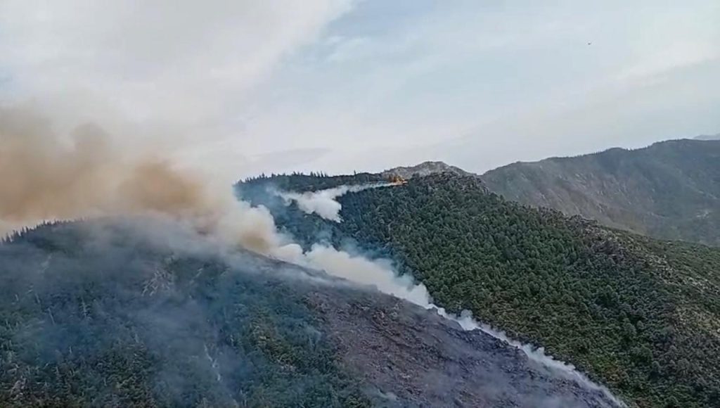 Tazaout : Contrôle des foyers principaux du feu de forêt, mobilisation générale à Chefchaouen