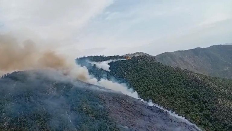 Tazaout : Contrôle des foyers principaux du feu de forêt, mobilisation générale à Chefchaouen