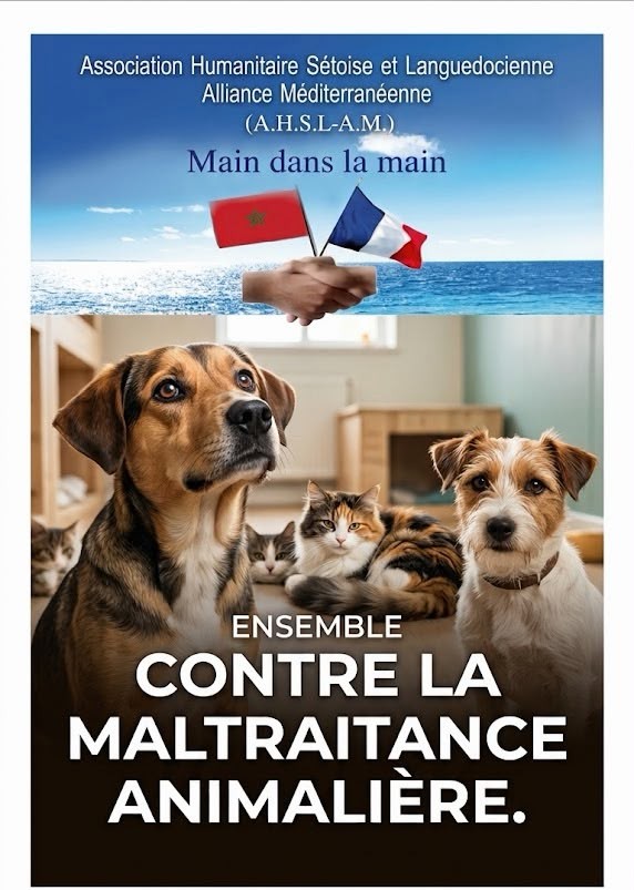 Une organisation française lance une campagne pour le bien-être animal au Maroc