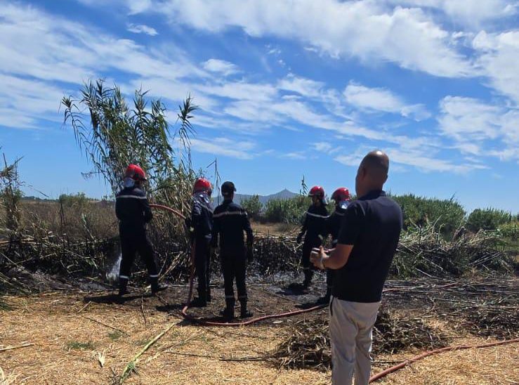 Le Détroit : arrestation du suspect impliqué dans l'incendie criminel de Bouzghlal