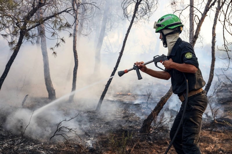 Algérie.. 12 décès suite à 154 incendies en une journée