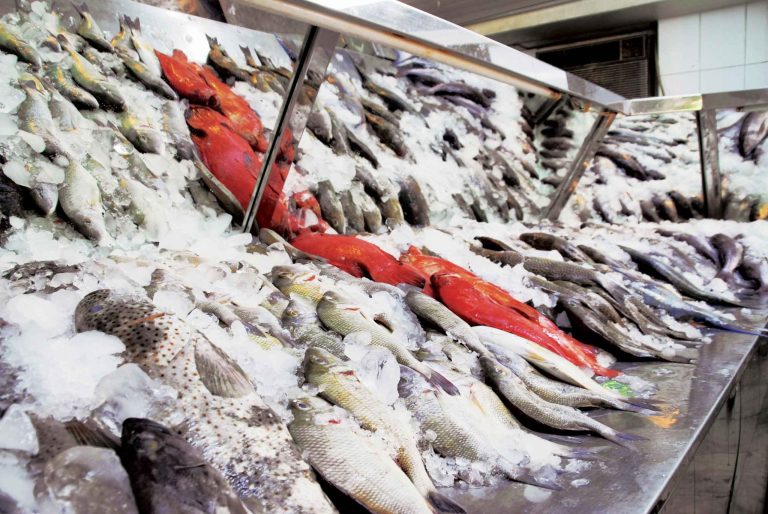 500 kilogrammes de poissons non conformes aux normes saisis à Marrakech