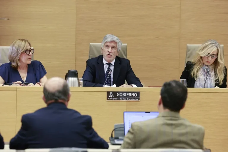 Le ministre de l'Intérieur espagnol accuse l'extrême droite d'incitation contre les migrants à Ceuta occupée