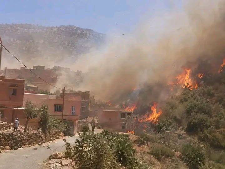 Agadir.. Un terrible incendie se déclare dans l'oasis d'Ineranen dans la commune d'Aksri