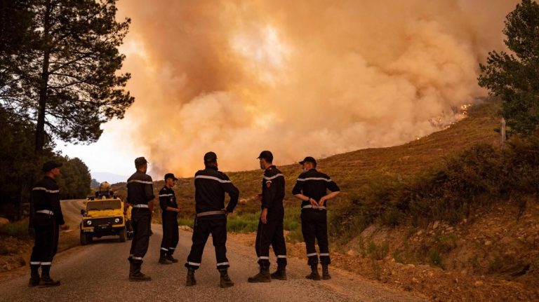 La région Tanger-Tétouan-Al Hoceïma renforce son niveau d'alerte en prévision des incendies de forêt