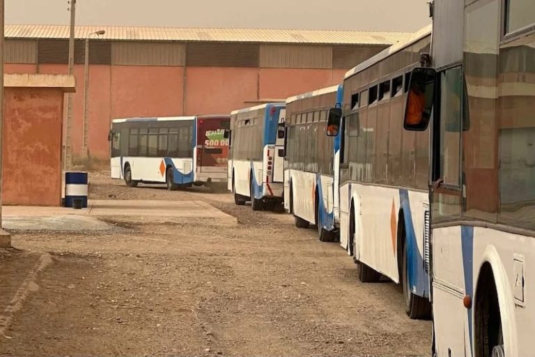 Taroudant.. Renforcement de la flotte de transport urbain avec 34 bus