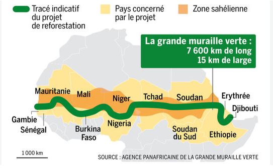 La Grande Muraille Verte d'Afrique: Restaurer 100 millions d’hectares de terres dégradées, créer 10 millions d’emplois verts et séquestrer 250 millions de tonnes de carbone d’ici à 2030