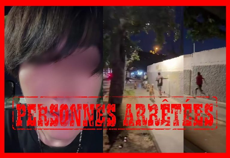 Après qu'un étranger ait été caillassé, la sûreté de Casablanca arrête 6 mineurs et saisit 5 chiens féroces