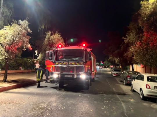 Chute d'un palmier interrompt la circulation dans une rue principale de Marrakech