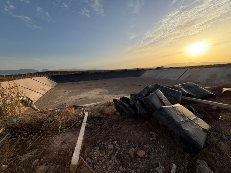 Berkane : Le vol de bâches et d'équipements d'irrigation menace la saison agricole à Oulad Teima