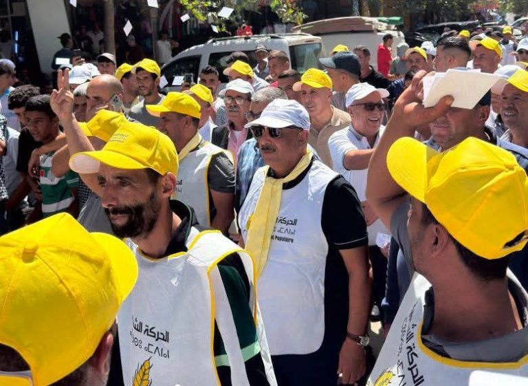 Mohamed Laarej dirige la campagne «l’Épi» à Al Hoceïma