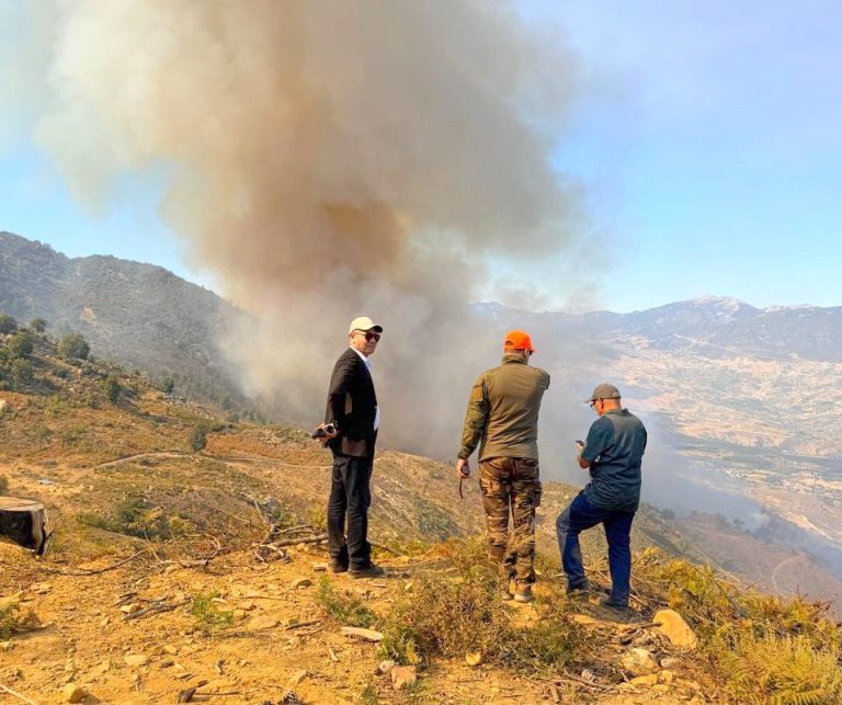 Chfchaouen : Incendie déclaré dans la forêt de Tanguya, les autorités mobilisent leurs ressources pour le maîtriser