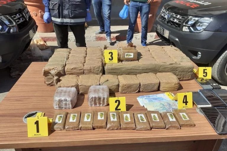 Tanger Med : 238 kg de chira déjoués et un Belge interpellé