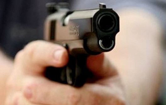 Usage de l'arme de service pour arrêter un individu recherché qui a attaqué des éléments de la Gendarmerie avec des chiens féroces