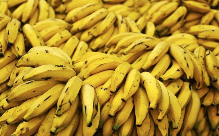 Crise de la banane en Algérie.. Les autorités annoncent sa mise en vente à 3,35 dollars le kilogramme 30 Crise de la banane en Algérie.. Les autorités annoncent sa mise en vente à 3,35 dollars le kilogramme