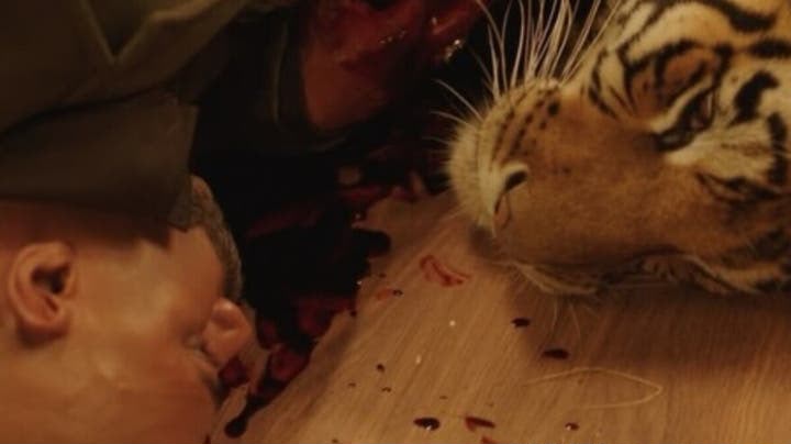 Une scène de combat avec un tigre se termine par la blessure de l'artiste Mohamed Ramadan